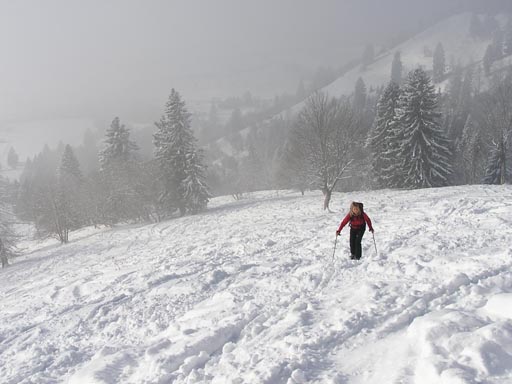 0601_Bayerische_Alpen 009