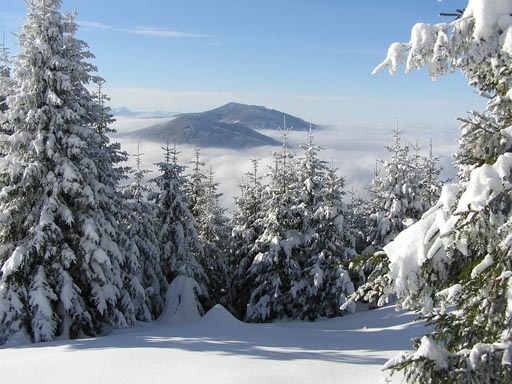 0601_Bayerische_Alpen 020