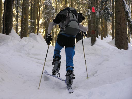 0601_Bayerische_Alpen 045