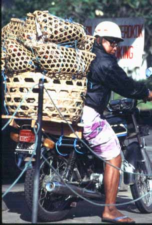 23 Moped 1