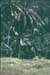 04 Reis und Palmen 1
