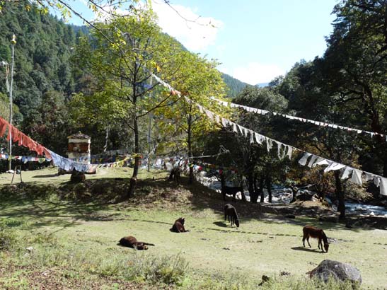 Bhutan-8142