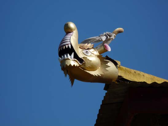 Wasserspeier, Bhutan