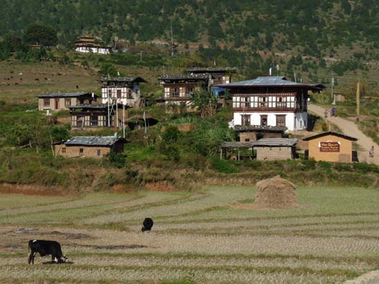 Bhutan-8461
