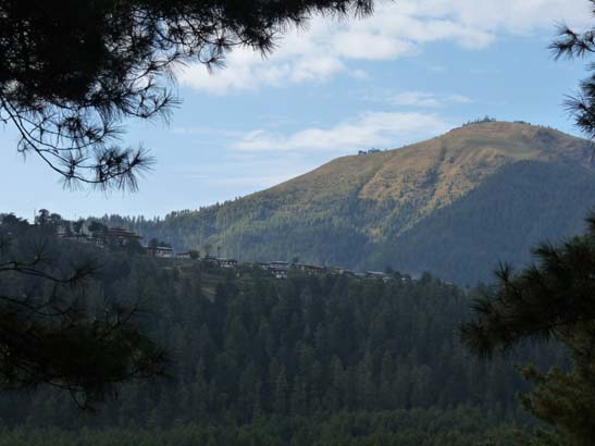 Bhutan-8729