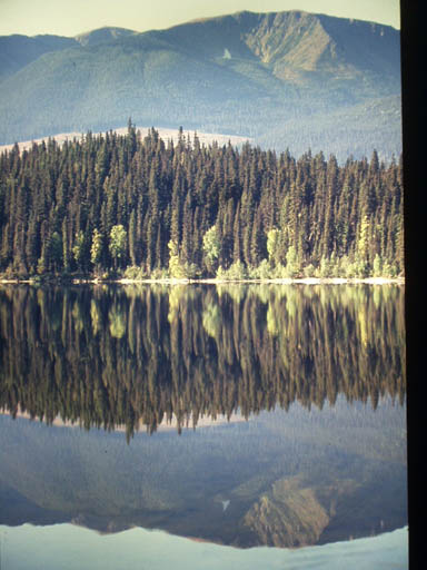 Berge spiegeln im See