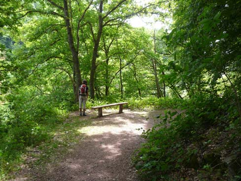 090531_Saarschleife_238