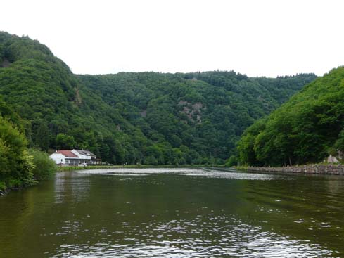 090531_Saarschleife_241