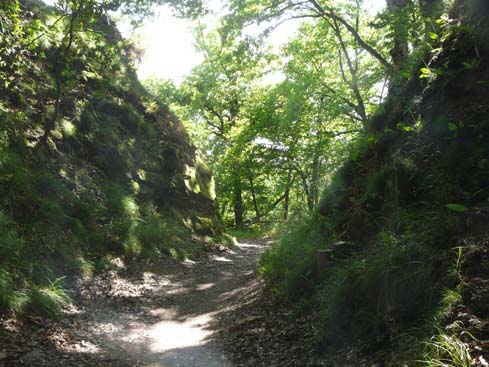 090531_Saarschleife_248