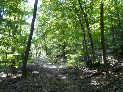 090531_Saarschleife_279