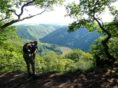 090531_Saarschleife_287