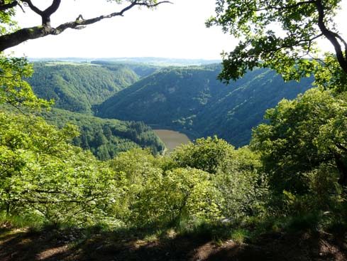 090531_Saarschleife_288