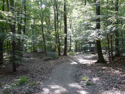 090531_Saarschleife_294