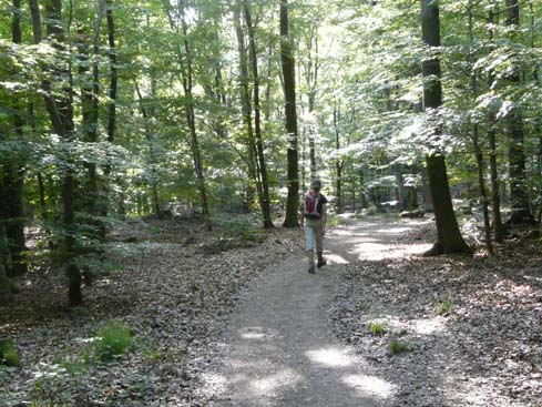 090531_Saarschleife_298