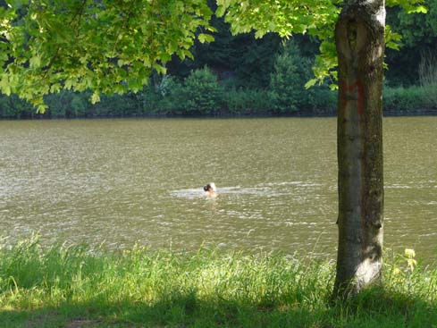 090531_Saarschleife_305