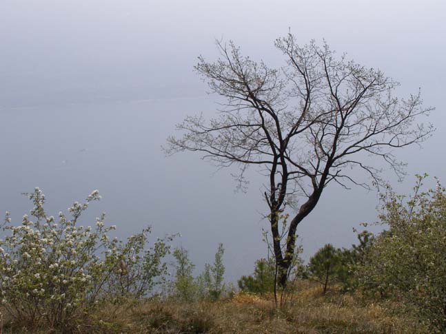 Gardasee_014_0704231036