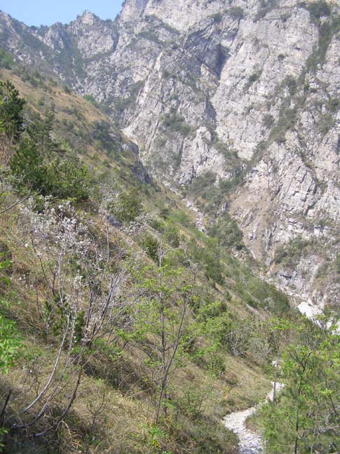 Gardasee_017_0704231050