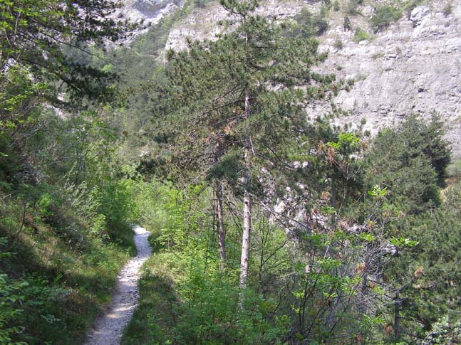 Gardasee_020_0704231061