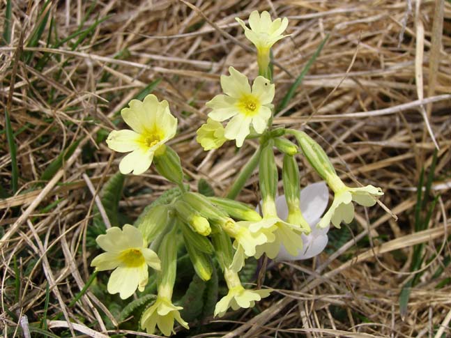 Gardasee_038_0704241102