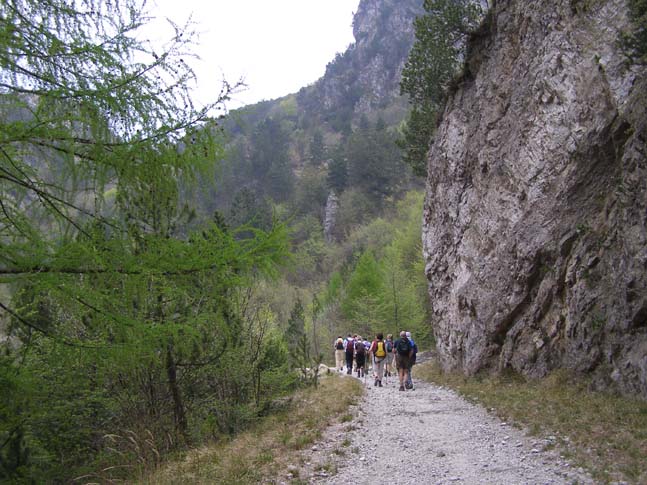 Gardasee_062_0704251190