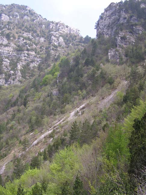 Gardasee_063_0704251191