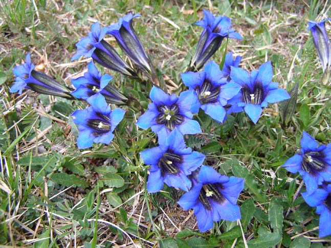 Gardasee_068_0704251207