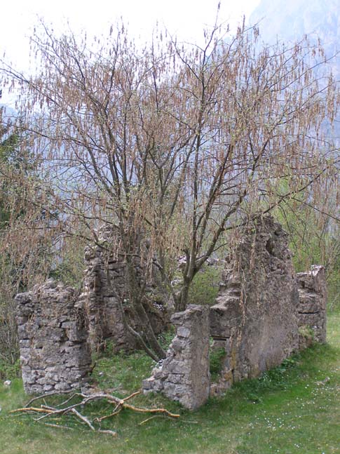 Gardasee_069_0704251212