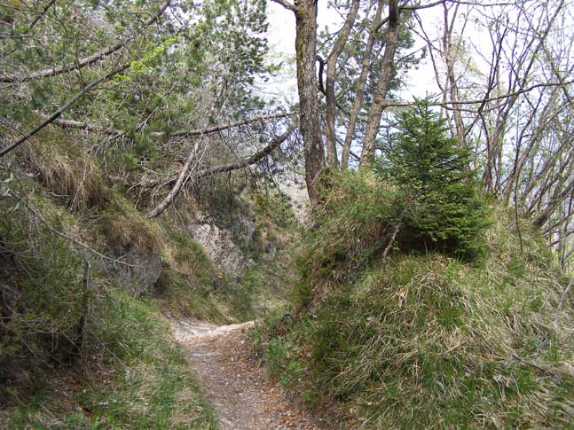 Gardasee_071_0704251218