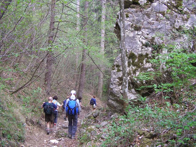 Gardasee_072_0704251224