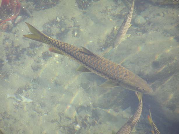 Garhwal-Tour 09-2006 - 096