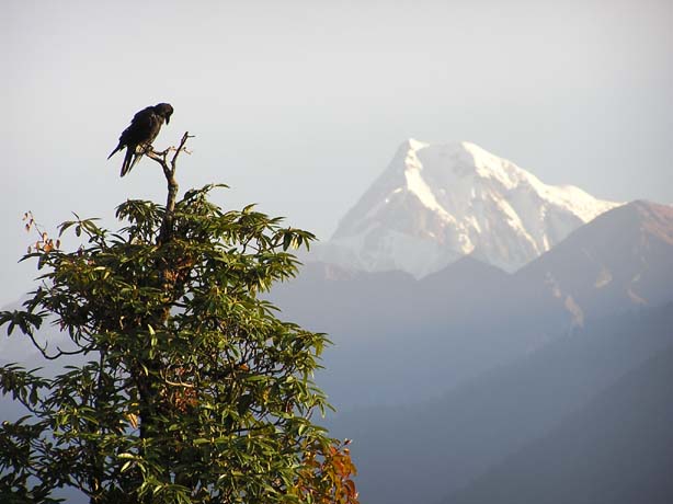 Garhwal-Tour 09-2006 - 112