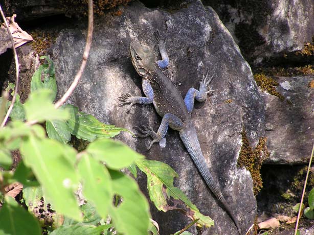 Garhwal-Tour 09-2006 - 122