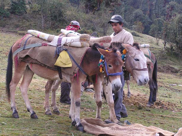 Garhwal-Tour 09-2006 - 132