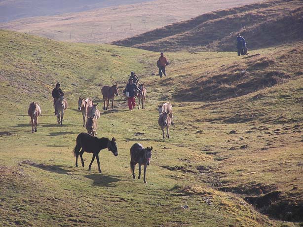 Garhwal-Tour 09-2006 - 183