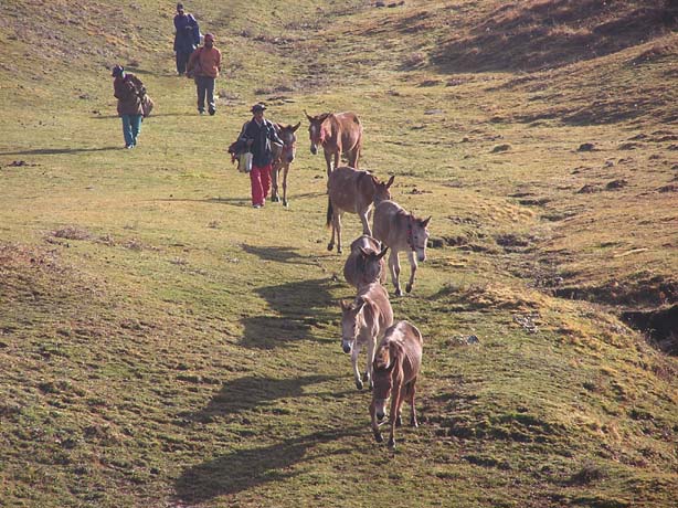 Garhwal-Tour 09-2006 - 184