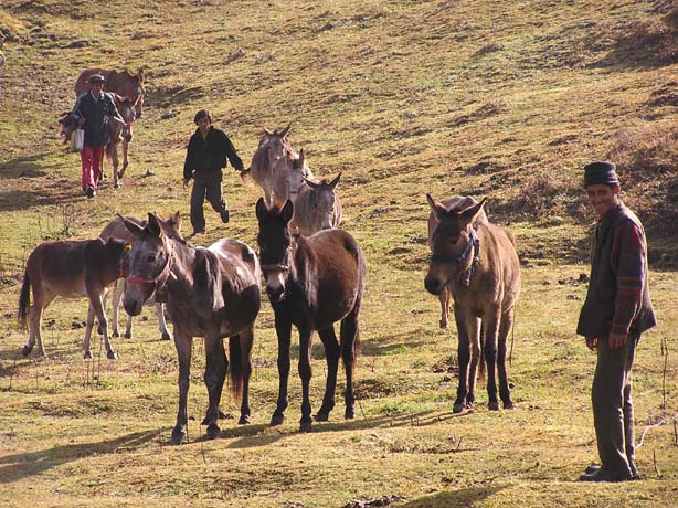 Garhwal-Tour_2009-2006_-_189