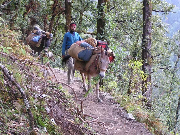 Garhwal-Tour 09-2006 - 214