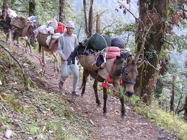Garhwal-Tour 09-2006 - 216