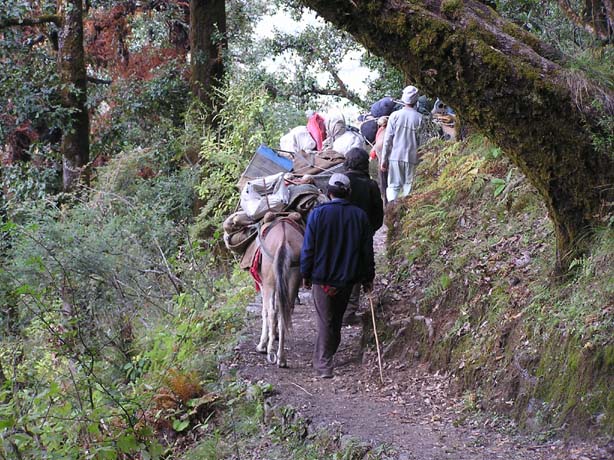 Garhwal-Tour 09-2006 - 218