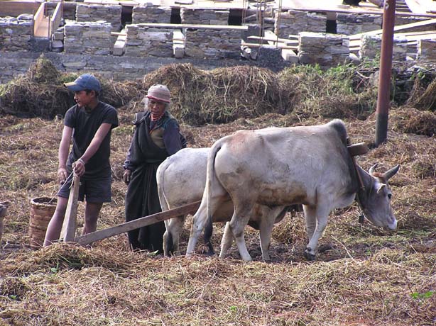 Garhwal-Tour 09-2006 - 290
