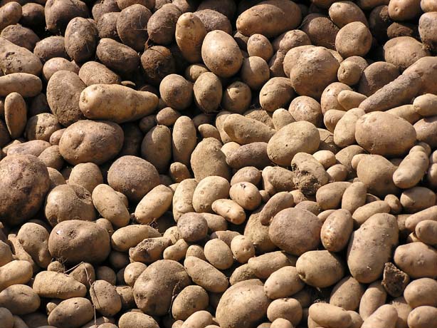 Garhwal-Tour 09-2006 - 298