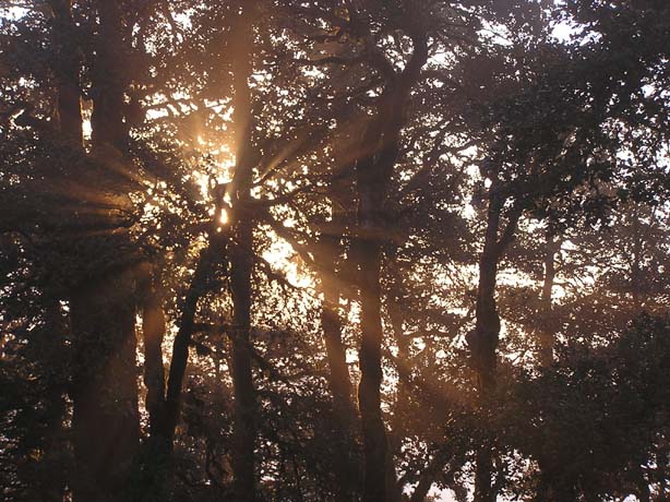 Garhwal-Tour 09-2006 - 350