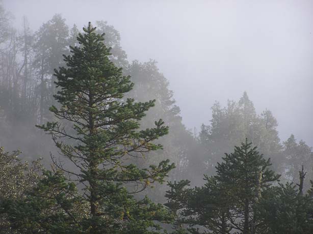 Garhwal-Tour 09-2006 - 367