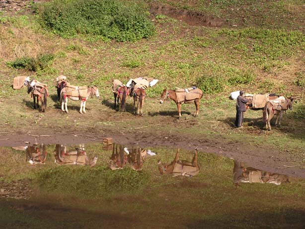 Garhwal-Tour_2009-2006_-_373