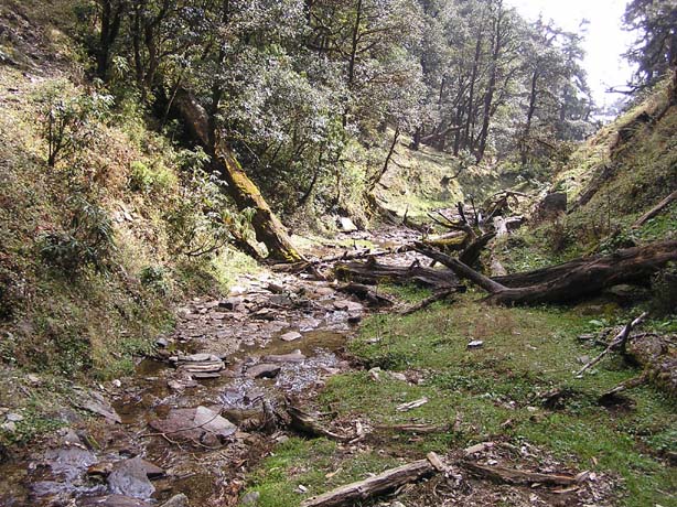 Garhwal-Tour 09-2006 - 376