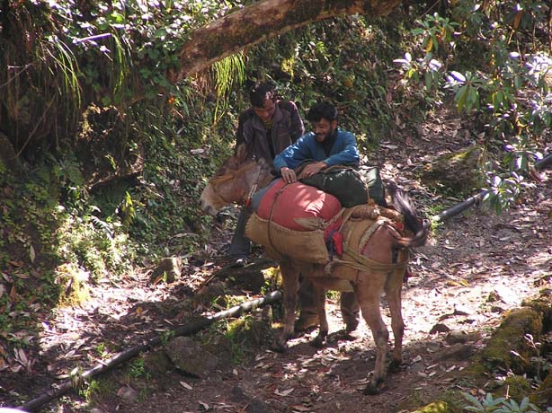 Garhwal-Tour 09-2006 - 387