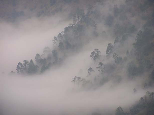 Garhwal-Tour 09-2006 - 424