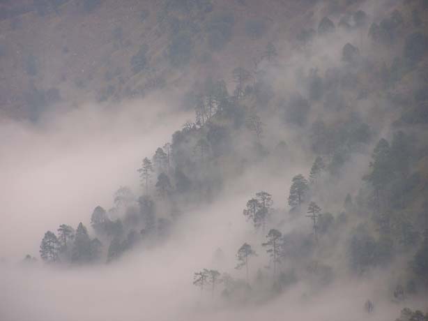 Garhwal-Tour 09-2006 - 425