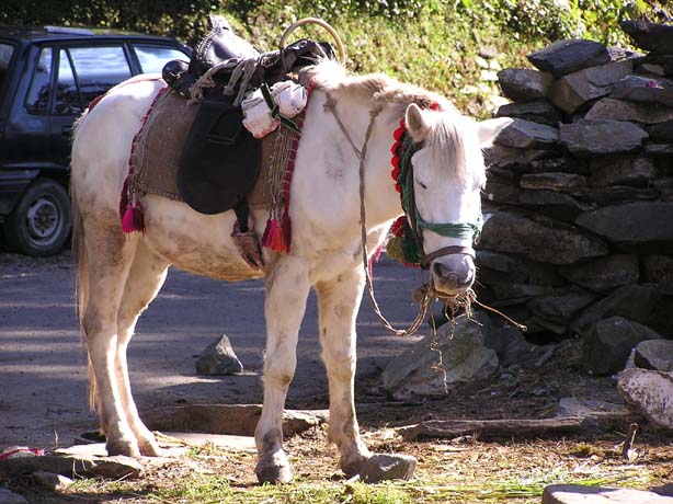 Garhwal-Tour 09-2006 - 605