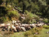 Garhwal-Tour_2009-2006_-_234